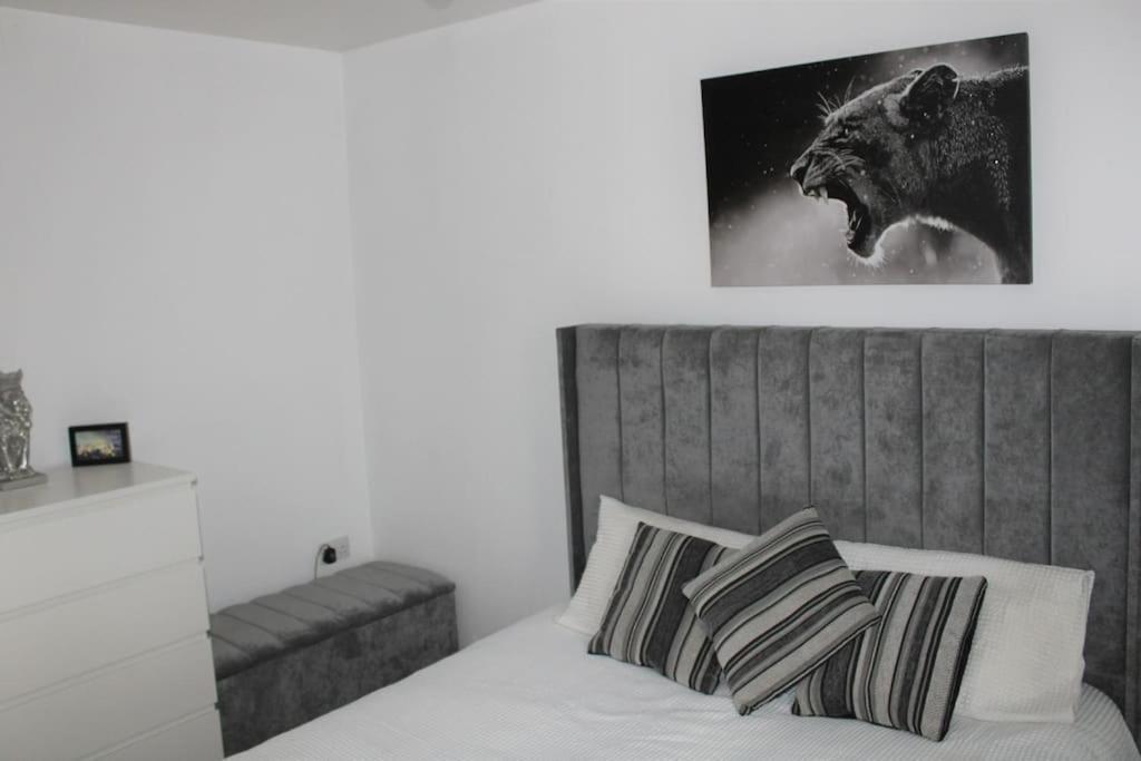Lovely Modern Apartment Close To Town Centre Lexden Buitenkant foto